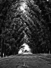 Qi is thin, but I be