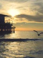 Bodhisattva of Compa