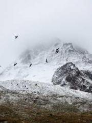 The Hardships of a D