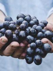 One Pregnancy, Two B