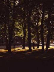 The Return of the Go