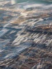 Rong Zhao, male, Nin