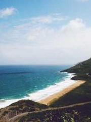 The Poisonous Doctor