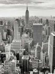 Shen Ning, Ran, Bo J