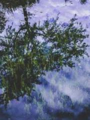 Lin Feng Lin Yun Yao