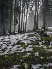 One Pregnancy, Two B