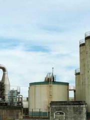 The Ugly Womanapos;s