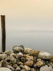 lt;Heavenly Fire Dyn