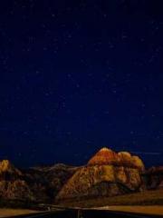 Double Blessing: CEO