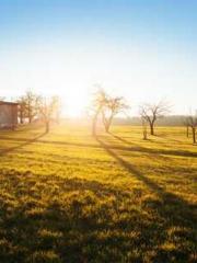 One Pregnancy, Two B