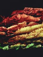 My stunning aunt lt;