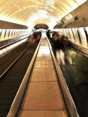 Eternal Sword Ancest