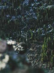 Professor Yan is goi