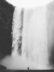 Spring fills Beijing