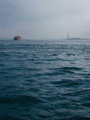 The Imperial Concubi