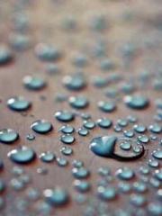 The Ugly Womanapos;s