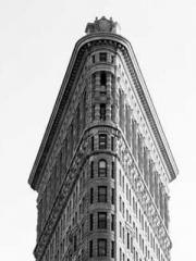 King of the Nine Pro