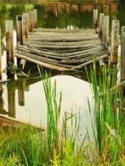 A Heavenly Gift: The