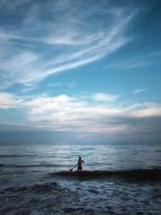 Lu Zongapos;s Hidden