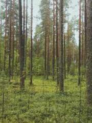 Fast Travel: The Big