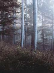 Do not deprive me of