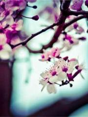 My Amazing Female Te