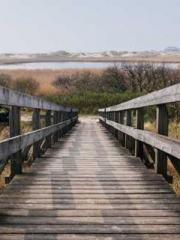 lt;lt;Know Green, Do