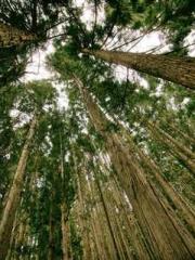 Mr. Shen, overdue an