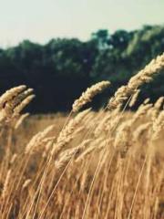 High School Campus S