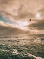 lt;lt;lt;Reborn Soar