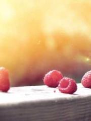 The Favorite Concubi