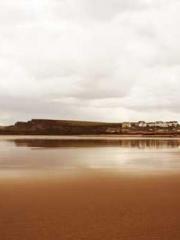 One Pregnancy, Two B