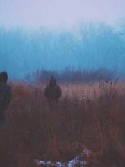 lt;Jingyuan Rong Sha