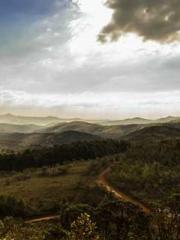 Retired War God Yang