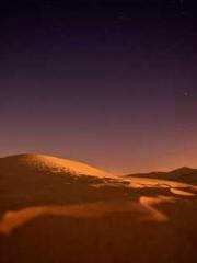 lt;Diga: From Jetton