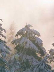 Reborn in 1989: Crea