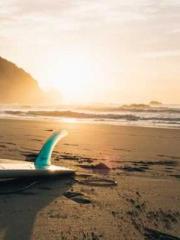 lt;Natural Disasters