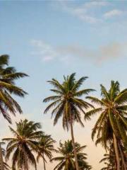 Lu Wanwan Li Jingche