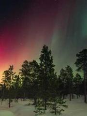 Retired War God Yang