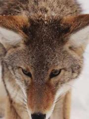 One Night of Indulge