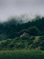 Super husband Lin Xi