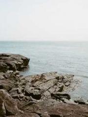 lt;Mr. Bao, Mrs. Bao