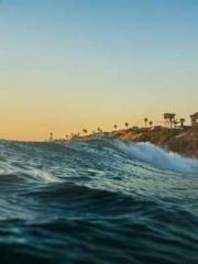 Fāng Chénlín Xuěyán