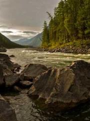 Bones-Eating Marriag