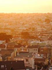 The Return of the Su