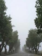 lt;lt;lt;lt;Yearning